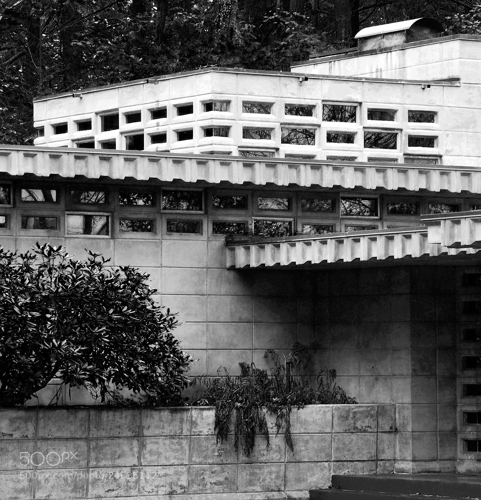 Nikon D40X sample photo. Wright rectangles photography