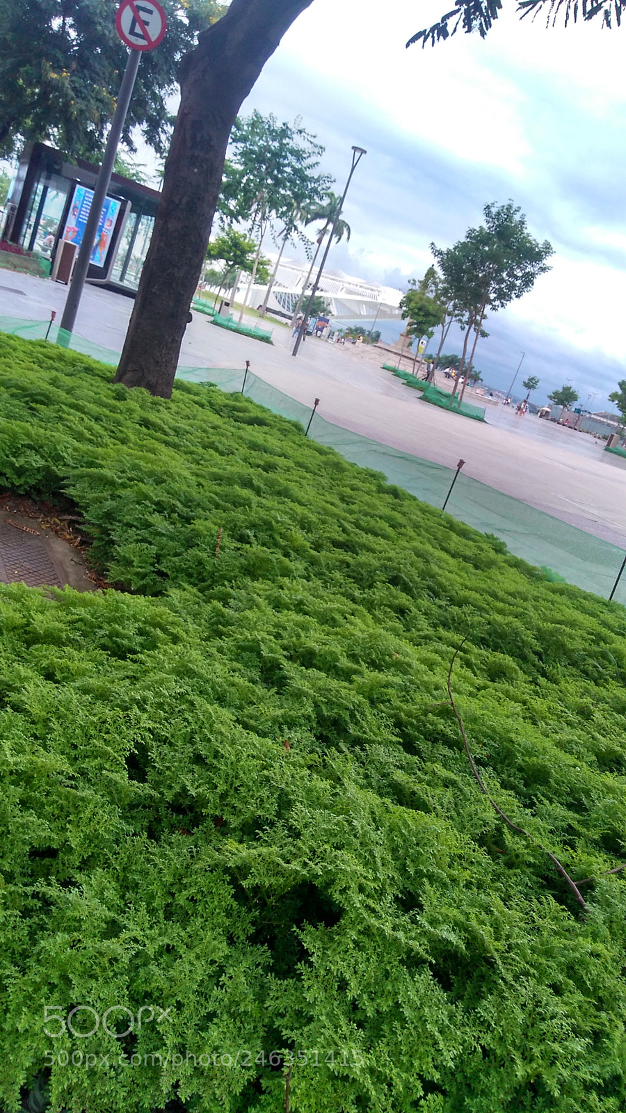 Motorola Moto G Play sample photo. Untitled photography