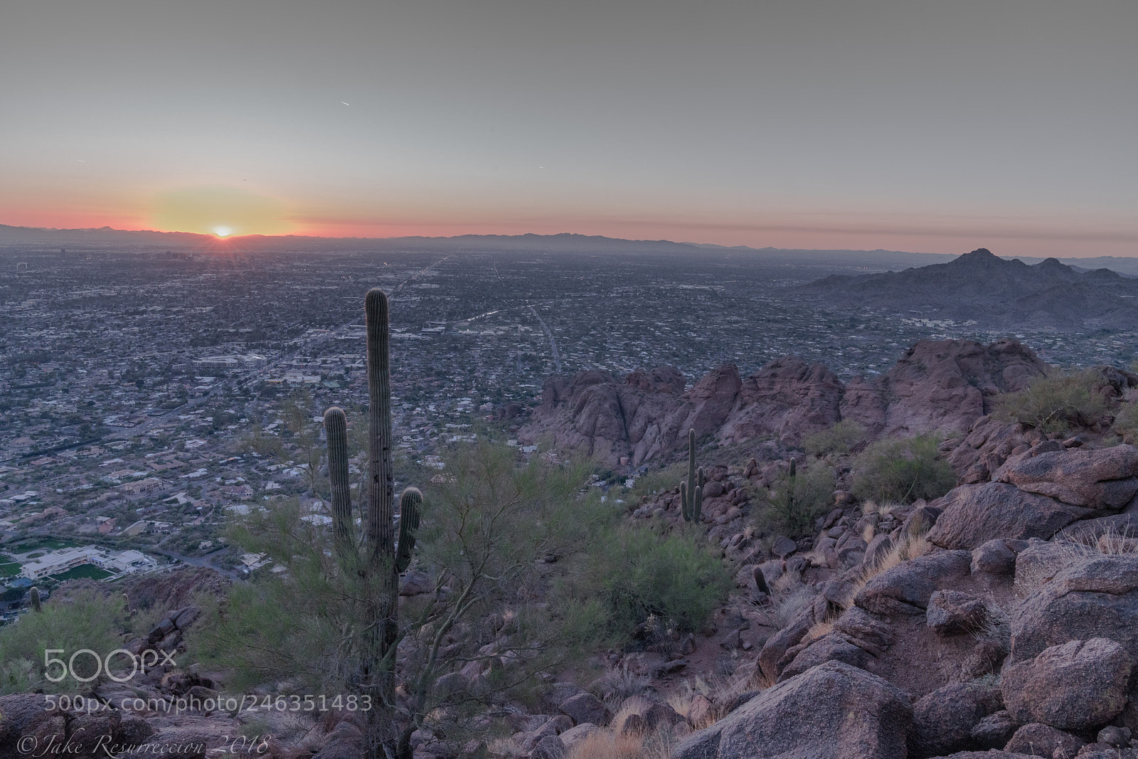 Sony a7R II sample photo. Untitled photography