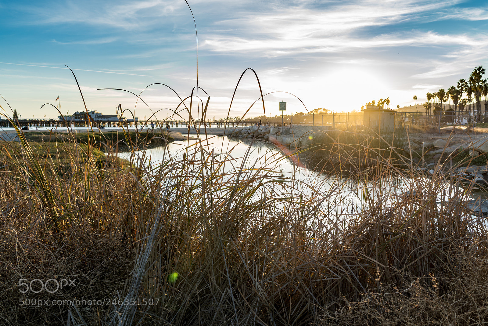 Sony a7R III sample photo. Untitled photography