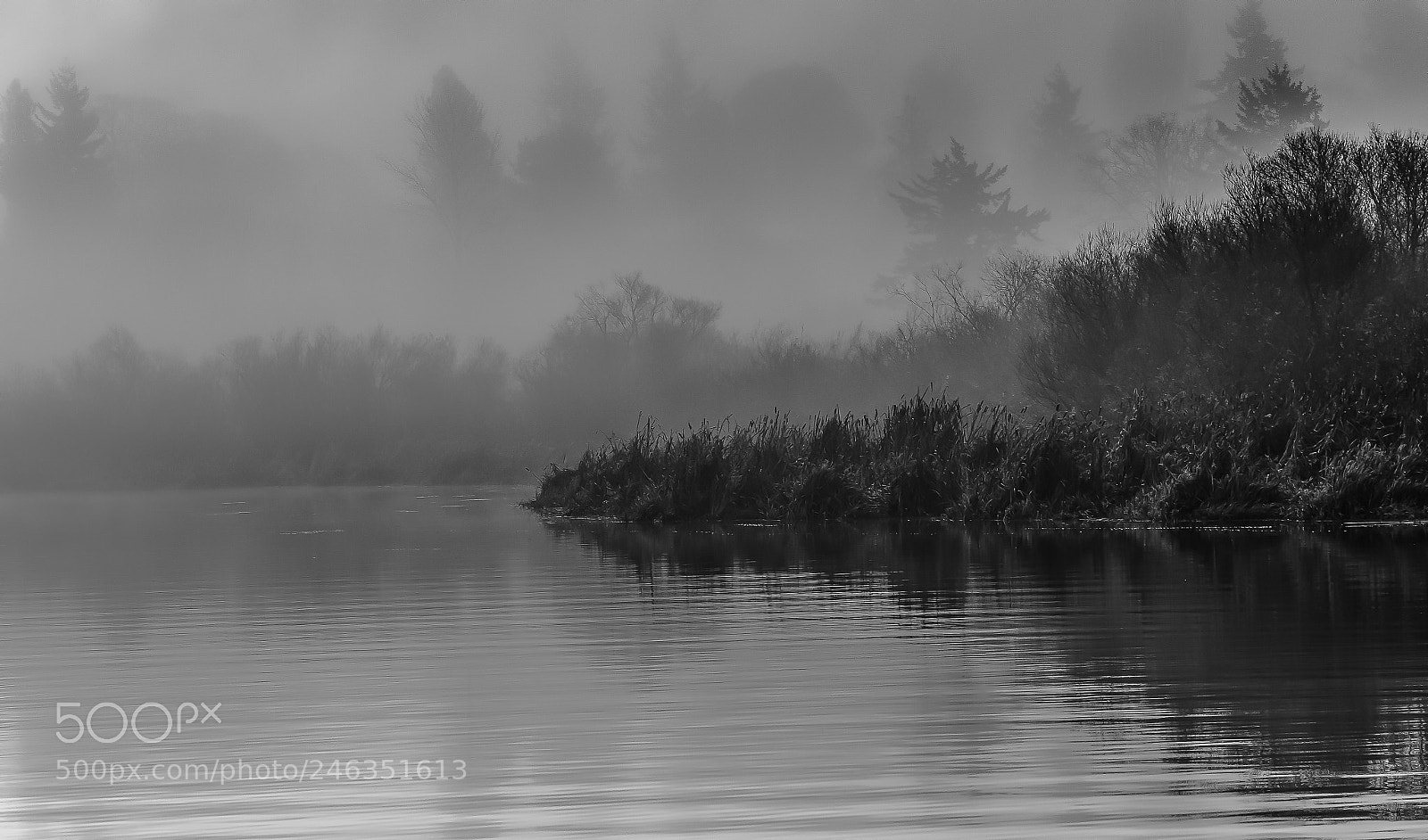 Canon EOS 60D sample photo. Mist at the lake photography