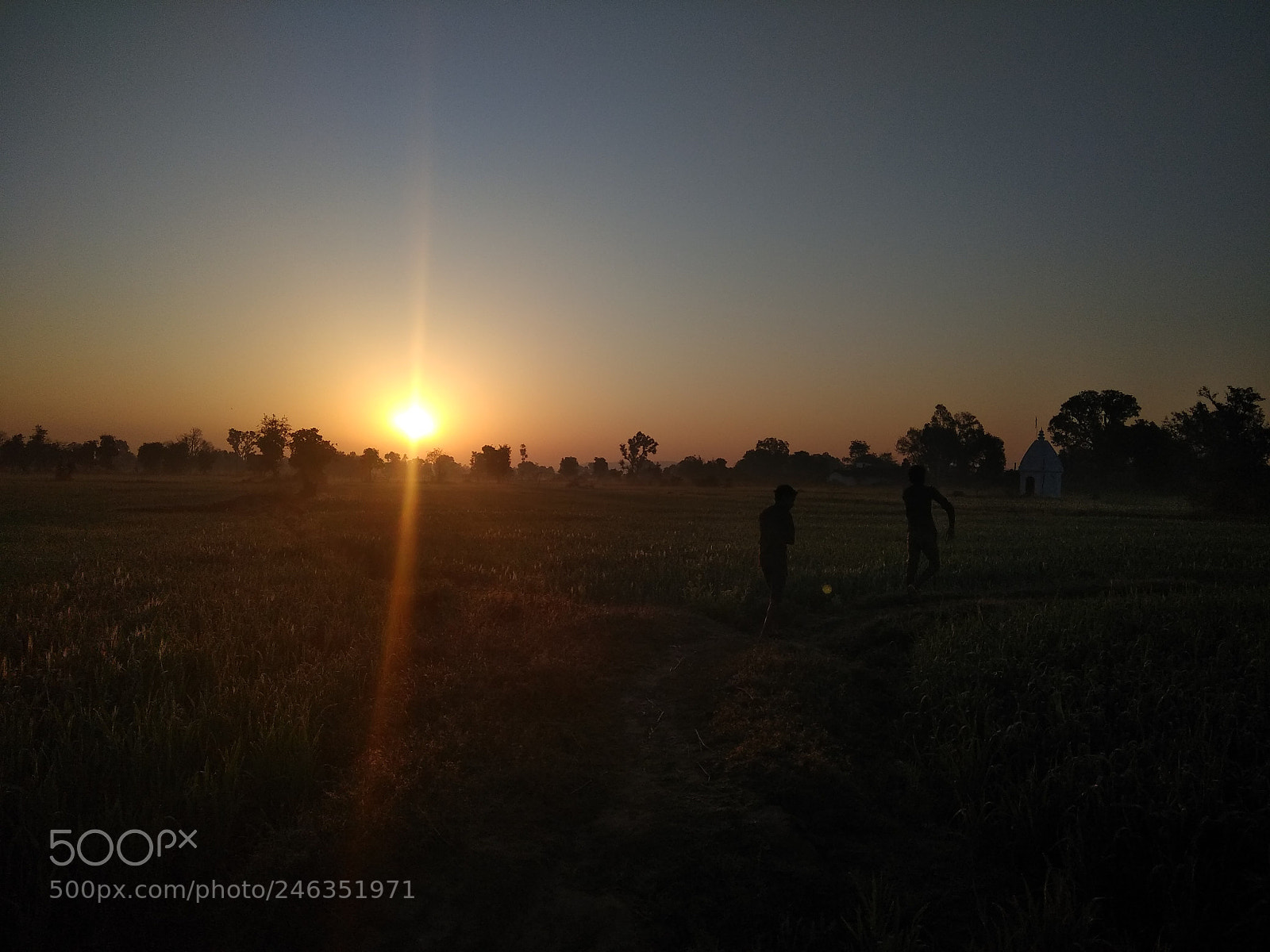 Xiaomi Redmi Note 4 sample photo. Morning sun photography