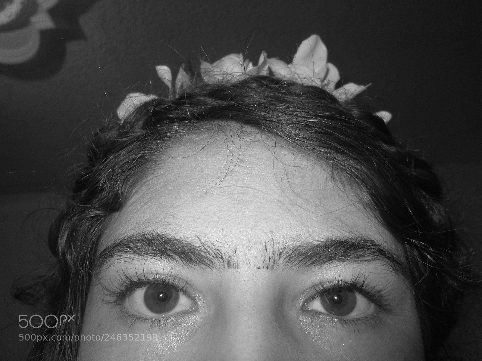 Canon PowerShot A2300 sample photo. Frida kahlo photography