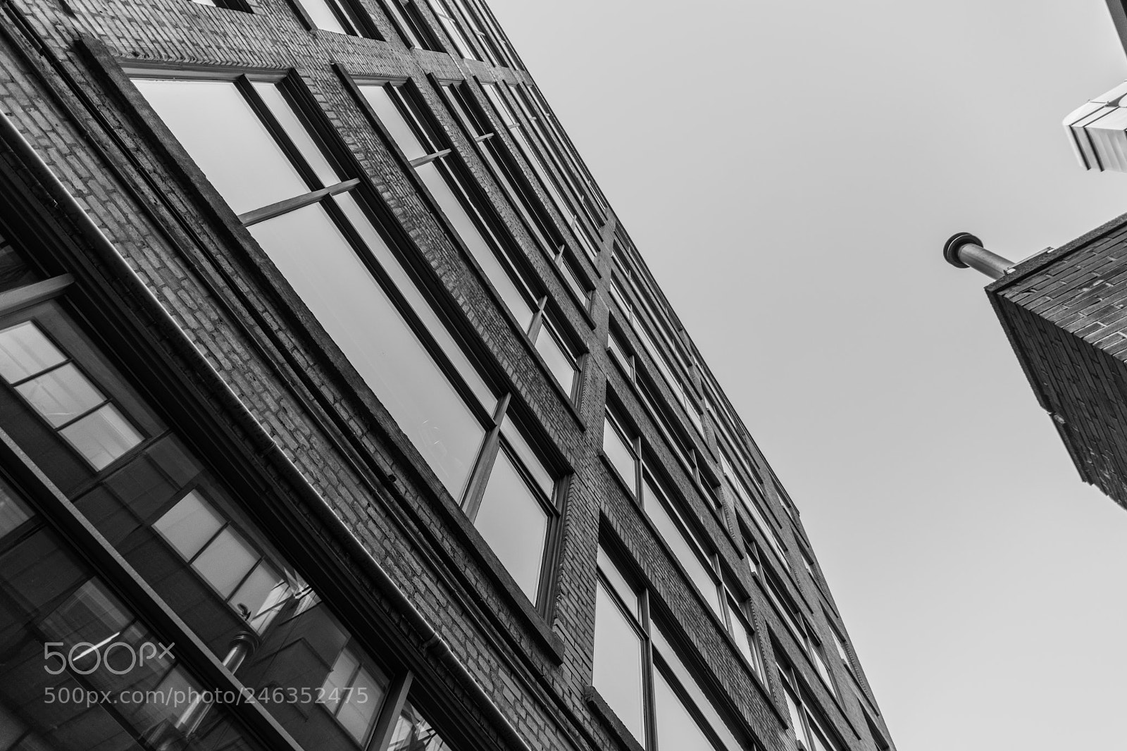Nikon D7200 sample photo. Up photography