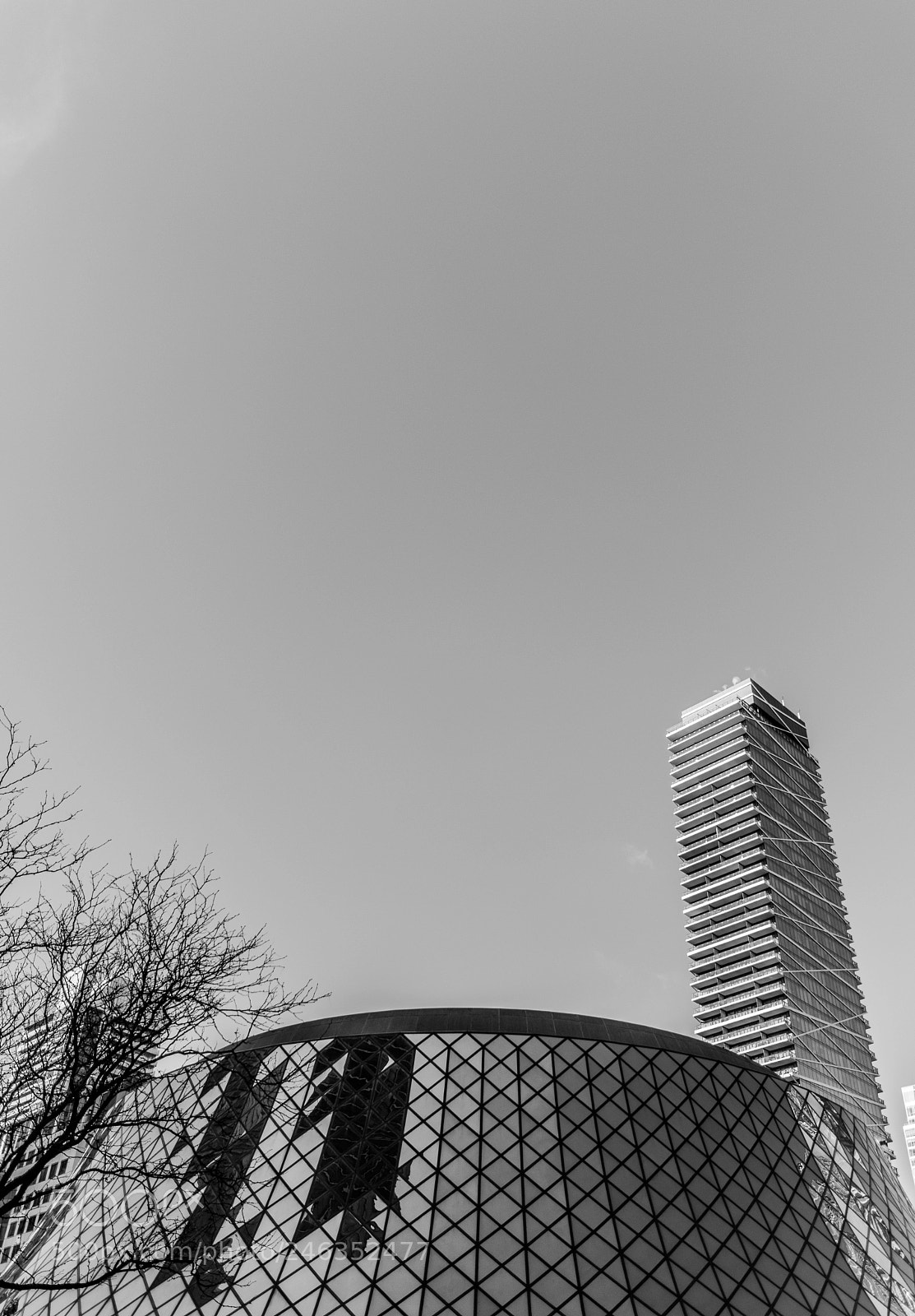 Nikon D7200 sample photo. Down photography