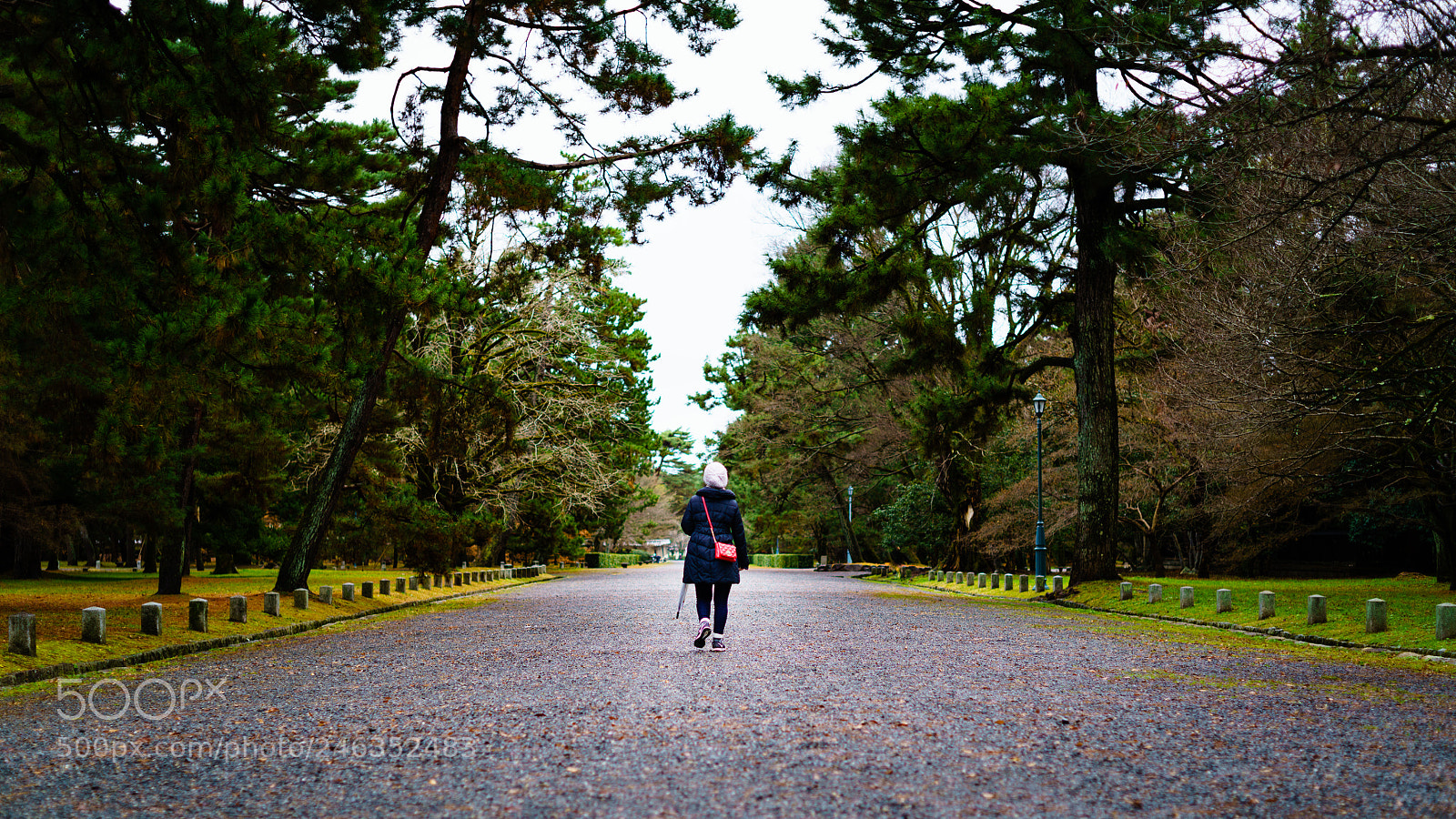 Sony a7R II sample photo. Kyoto stroll photography
