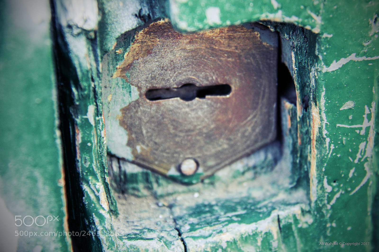 Canon EOS 7D sample photo. Img photography