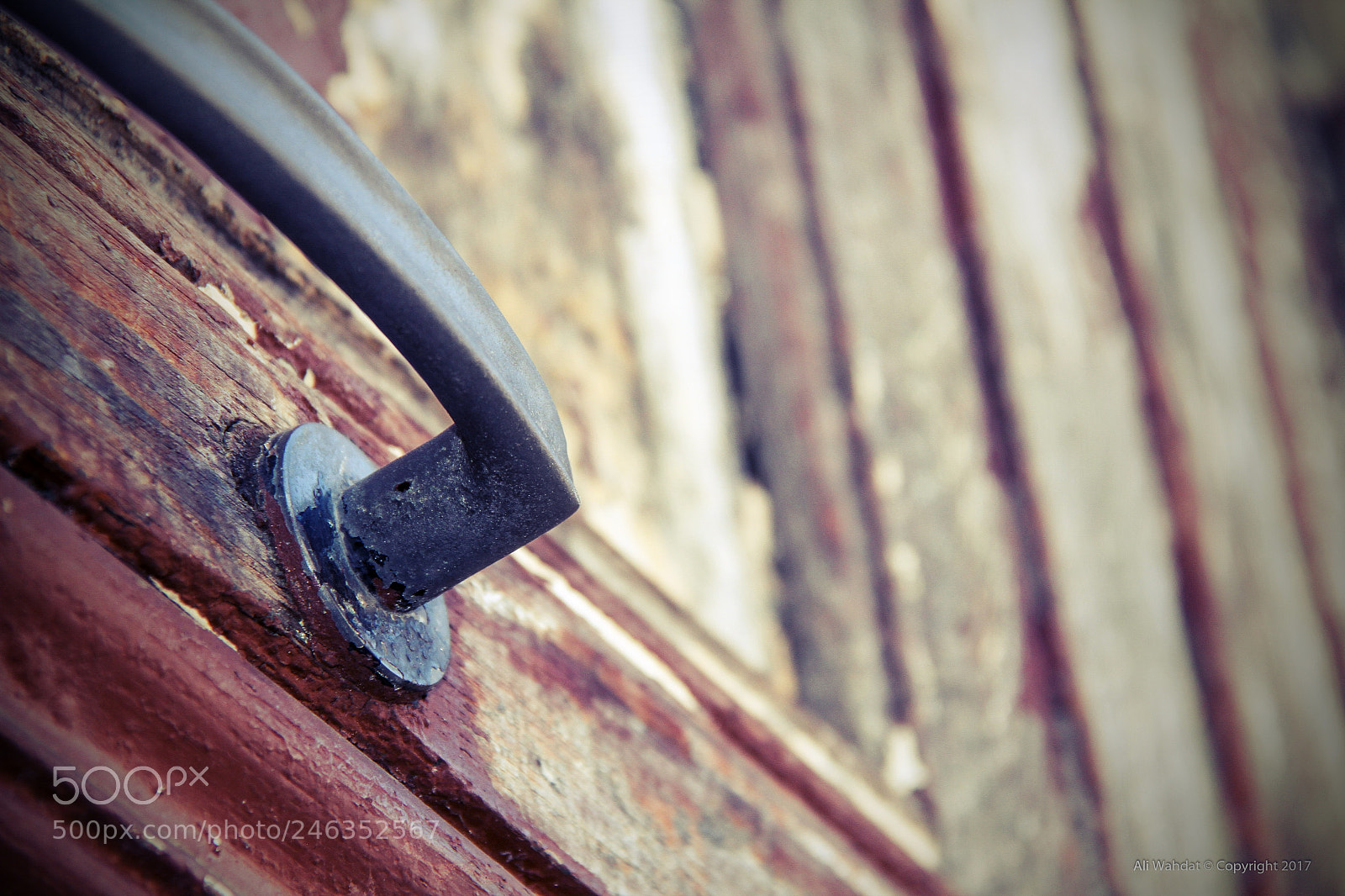 Canon EOS 7D sample photo. Img photography