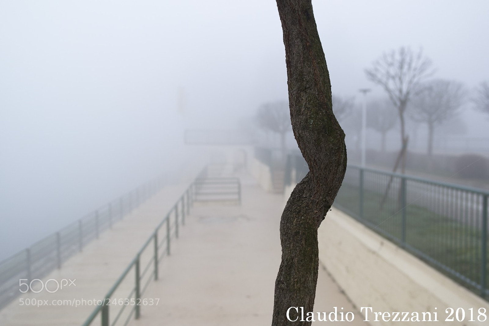 Samsung NX1000 sample photo. Geometry in nature and photography