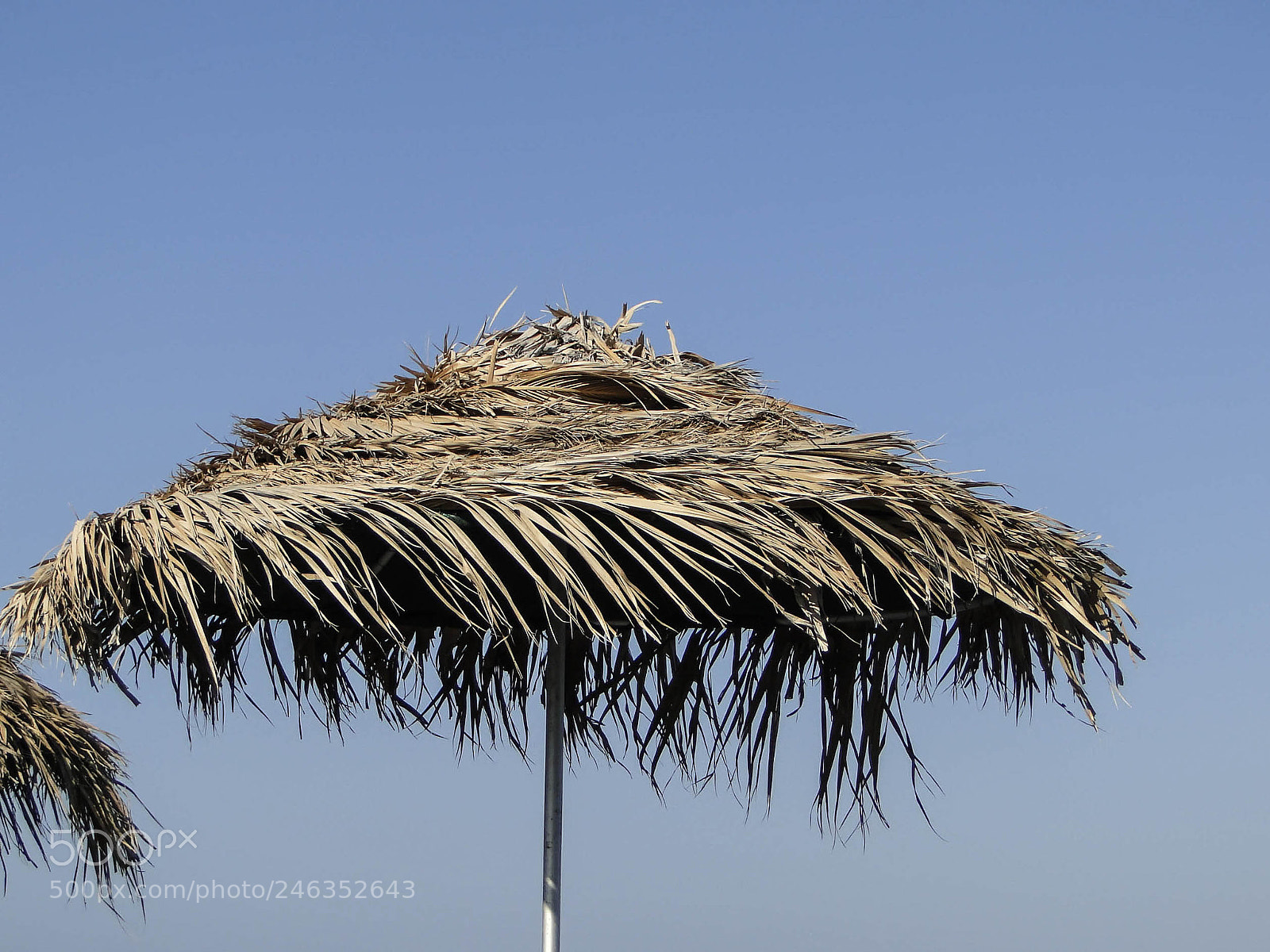 Sony Cyber-shot DSC-HX1 sample photo. Textura y enrredos photography