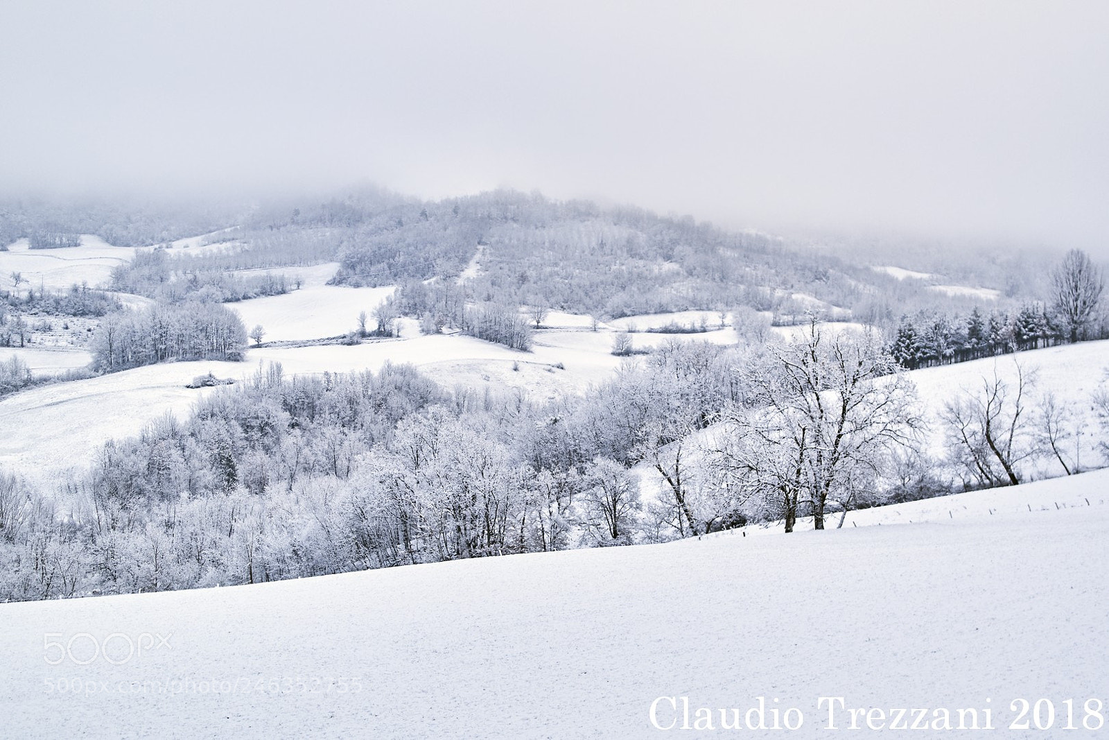 Samsung NX1000 sample photo. Tree and hill at photography