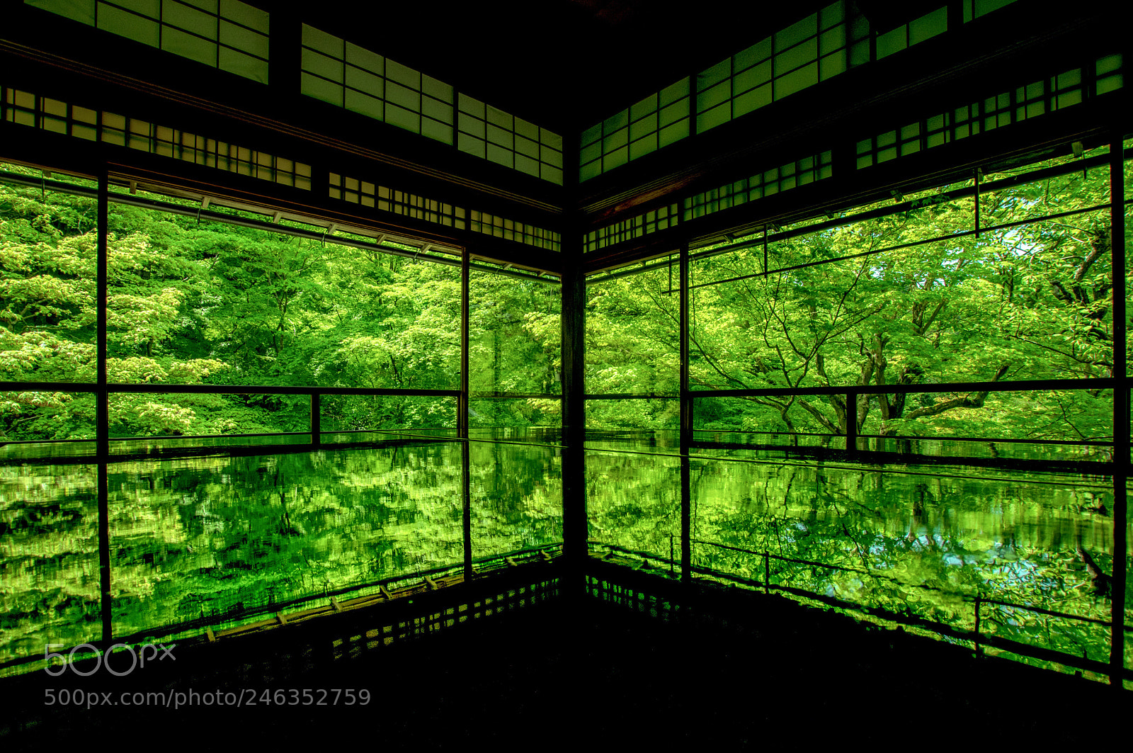 Pentax K-3 sample photo. Japan kyoto 瑠璃光院 photography