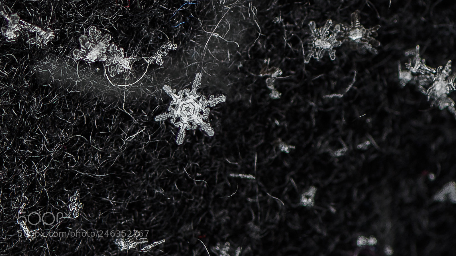 Nikon D810 sample photo. Juat a bunch of photography
