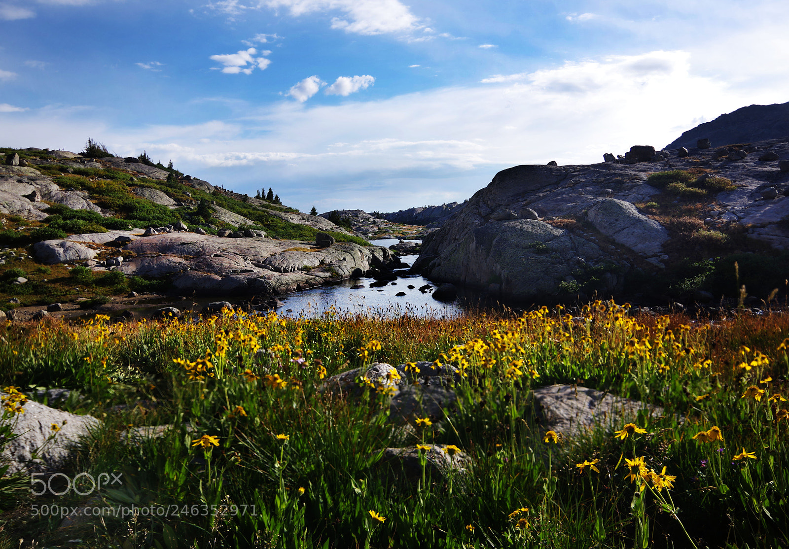 Pentax K-3 II sample photo. Alpine river in summer photography