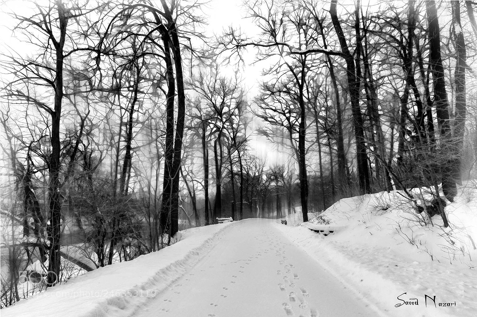 Canon EOS 6D Mark II sample photo. Winter leaves photography
