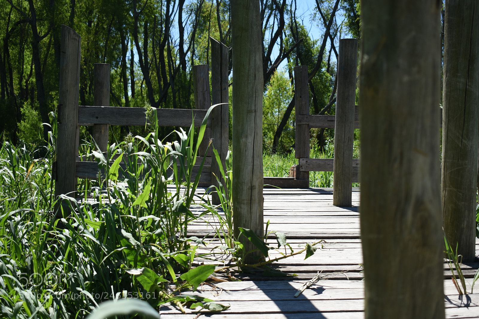 Nikon D3400 sample photo. 020.jpg photography