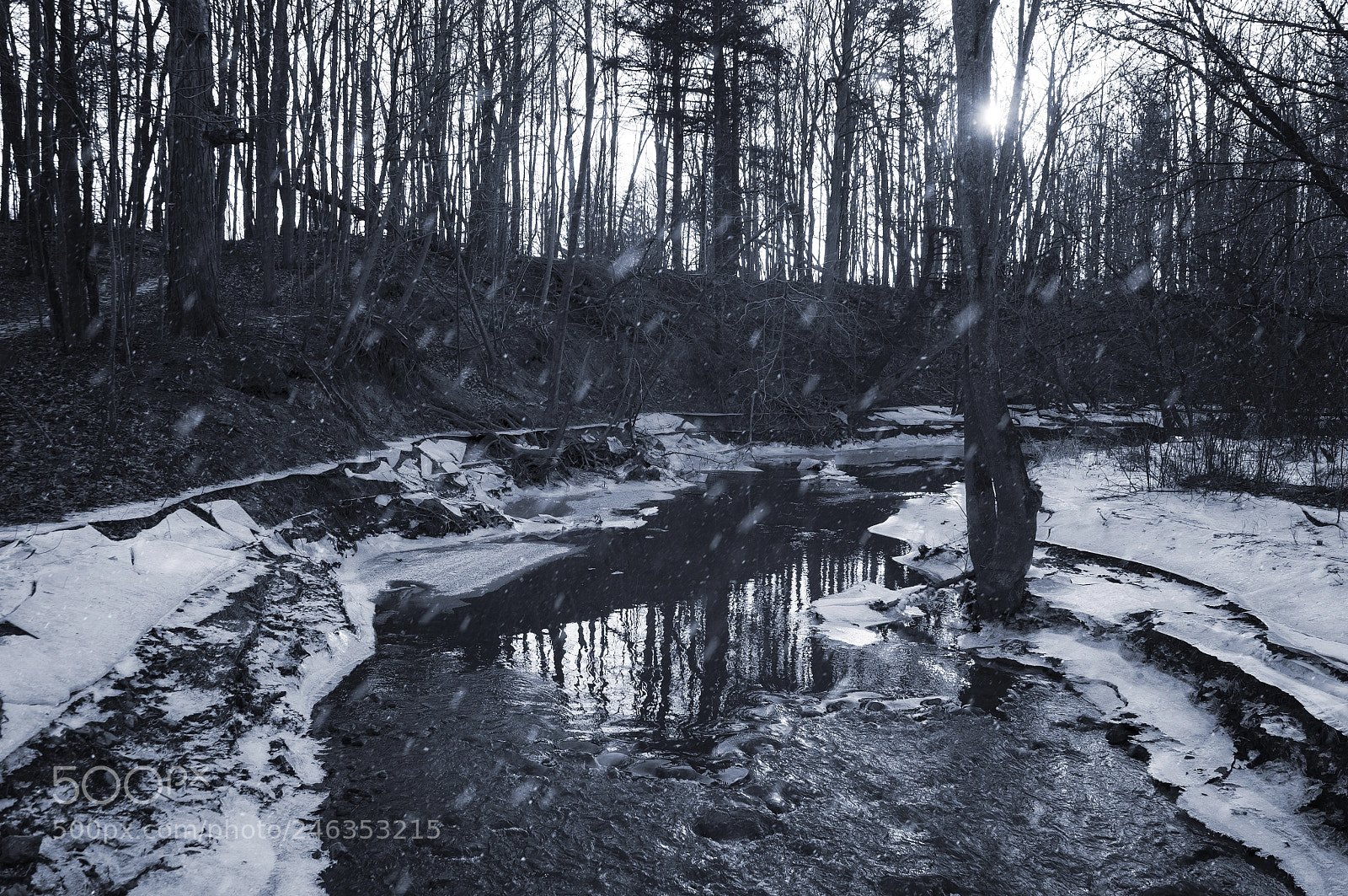 Sony SLT-A37 sample photo. The snow commenced photography
