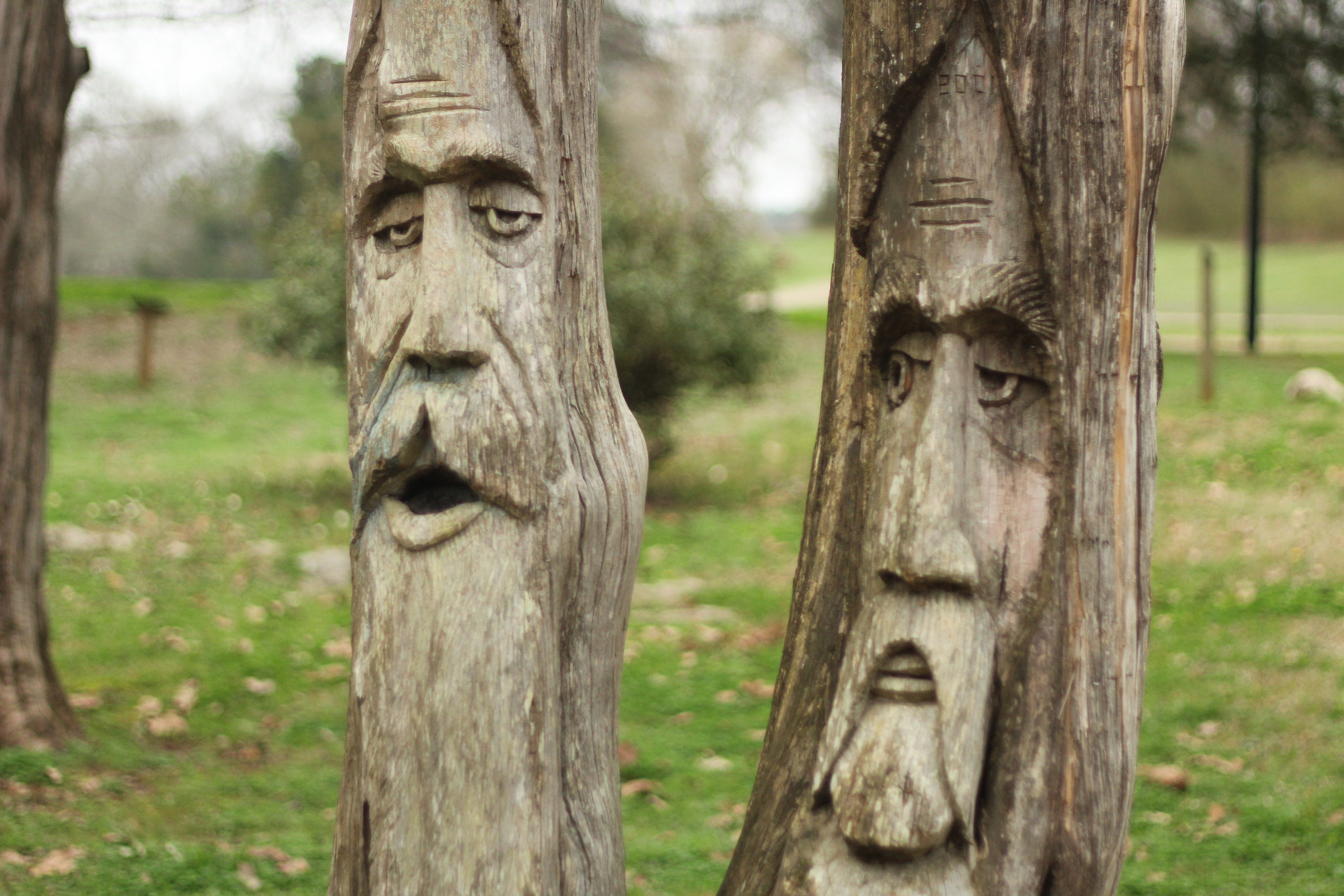 Canon EF 50mm F1.8 II sample photo. The curmudgeons photography