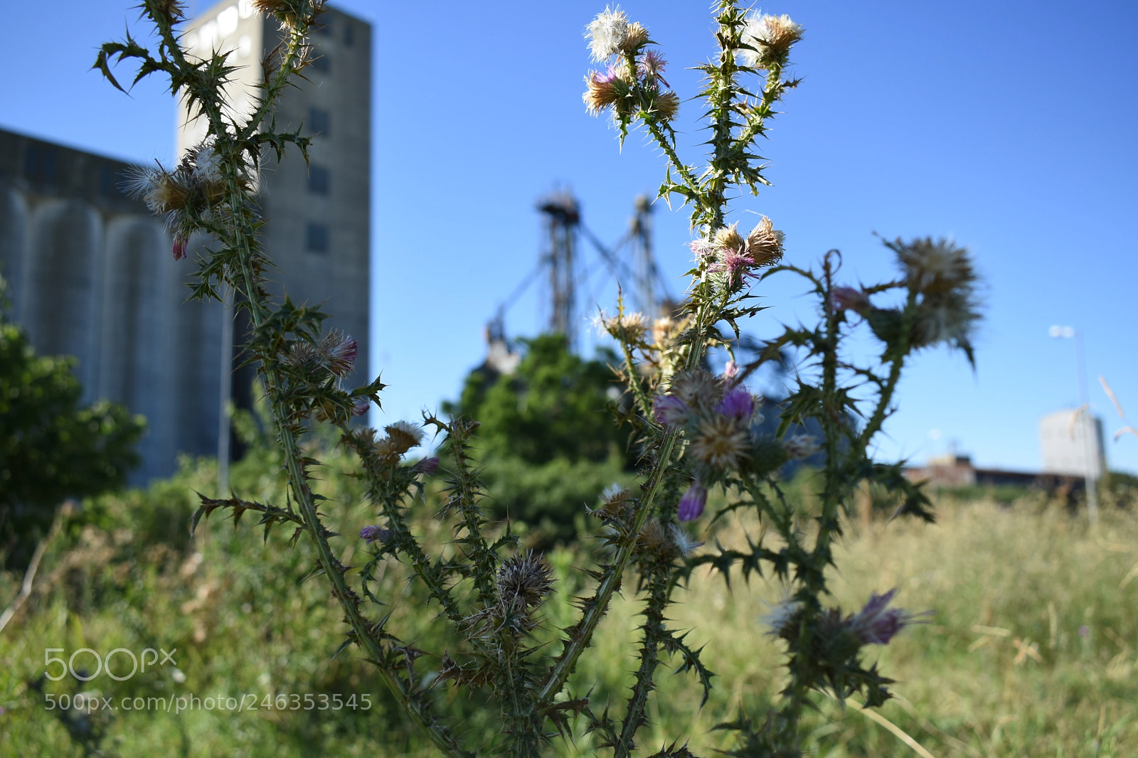 Nikon D3400 sample photo. 050.jpg photography