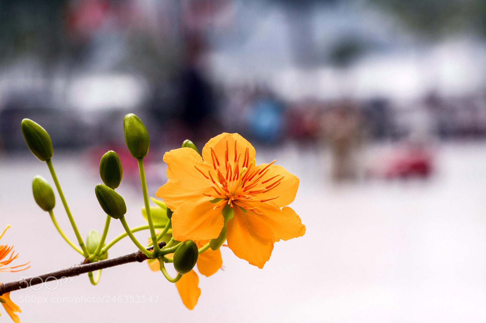 Nikon D7100 sample photo. Untitled photography