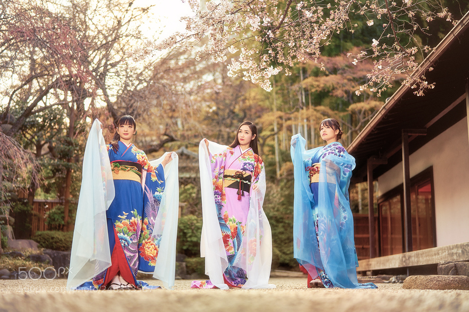Sony a7 II sample photo. Sakurashikibu photography