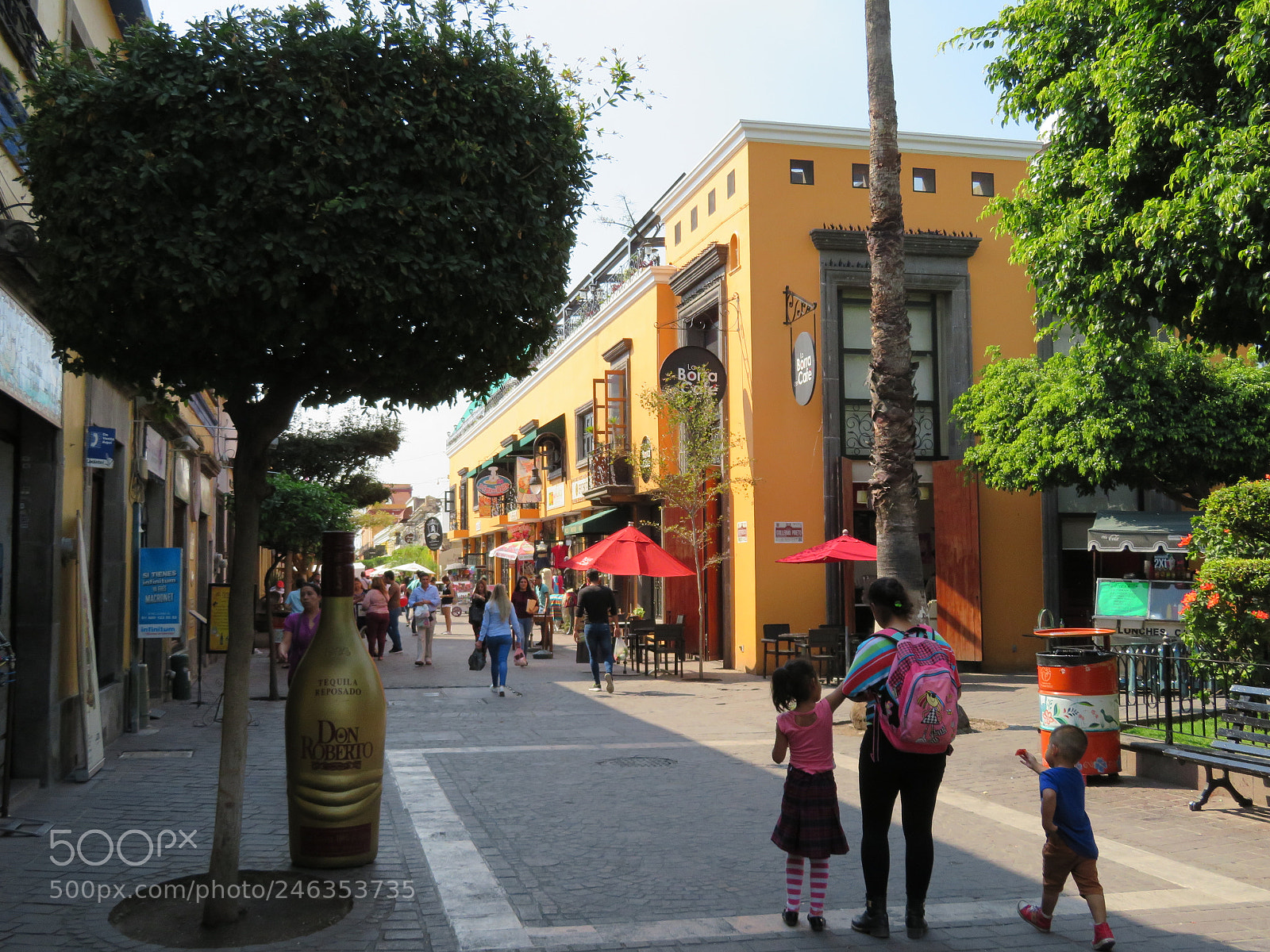 Canon PowerShot SX720 HS sample photo. Maravilloso andador photography