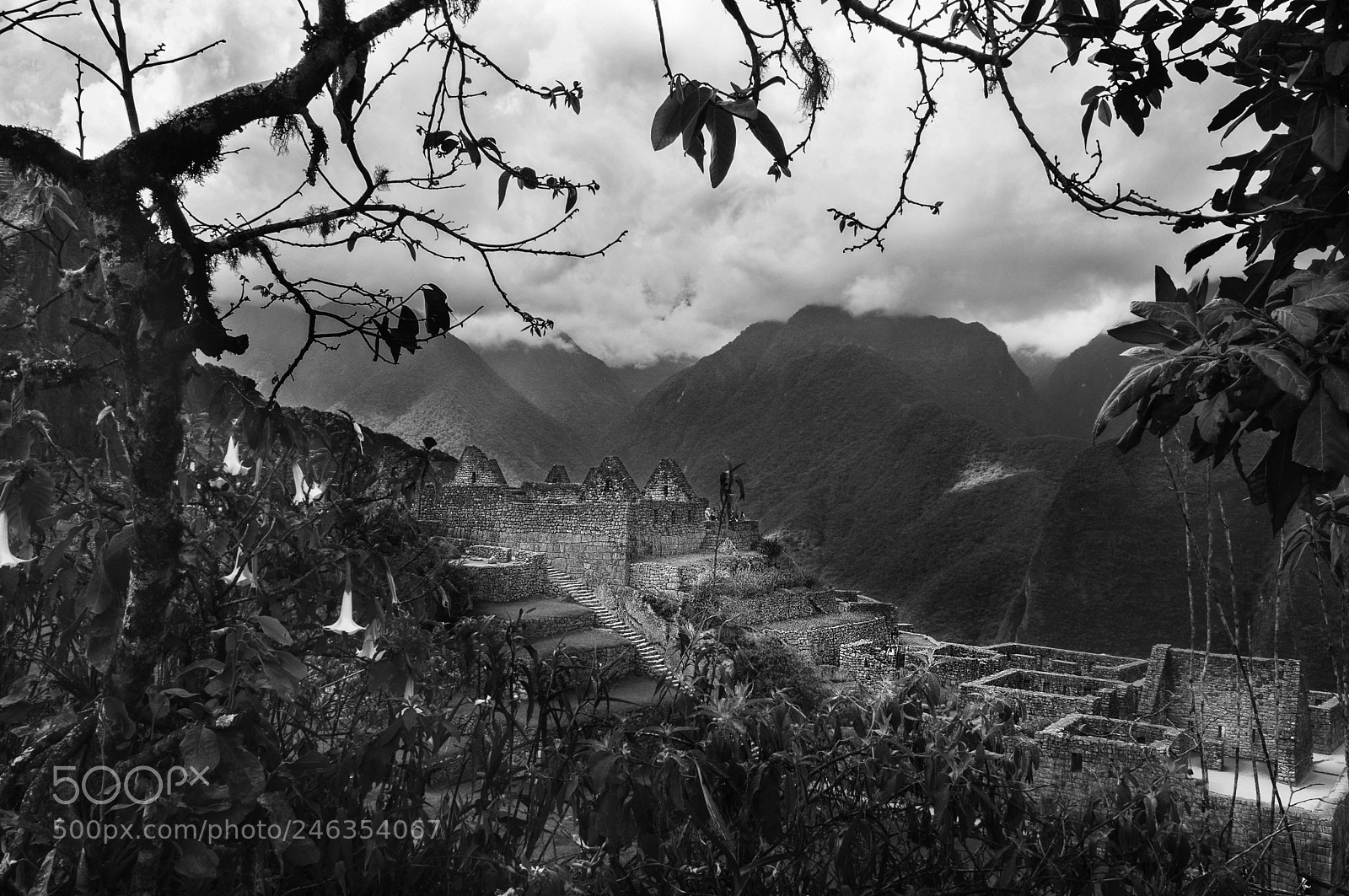 Nikon D90 sample photo. Machupicchu photography