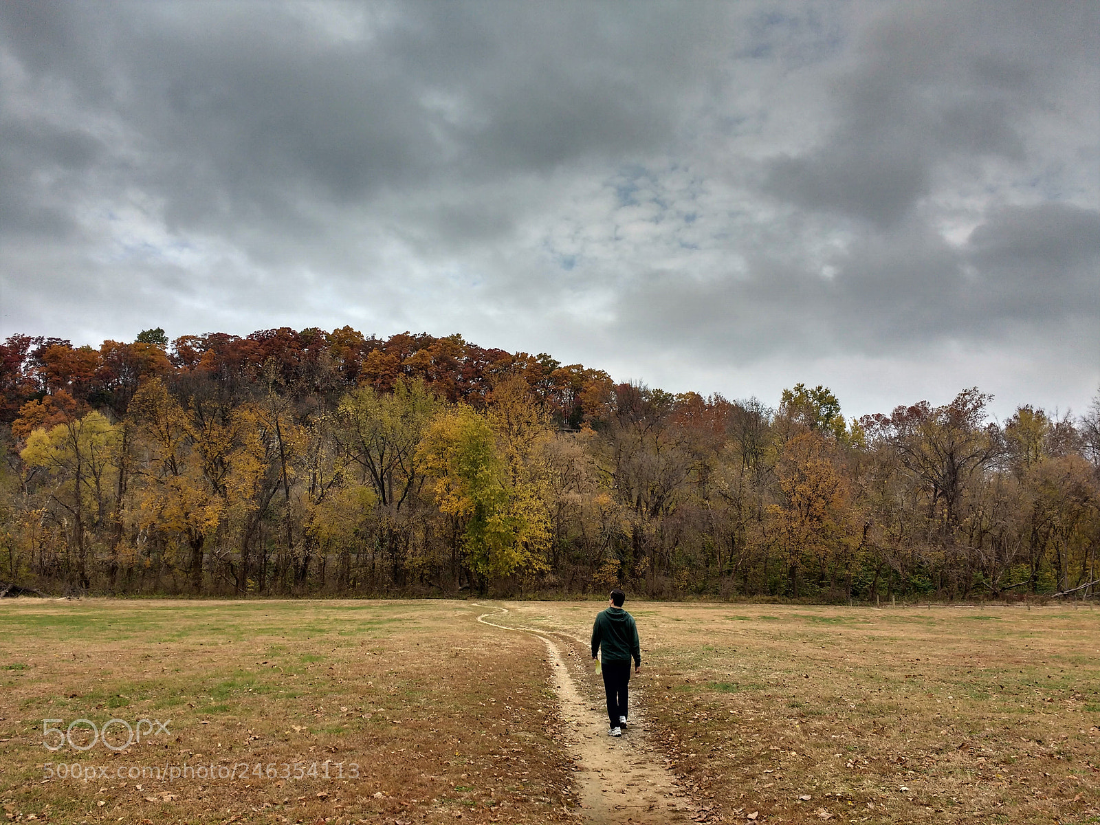 Motorola MotoG3 sample photo. A walk in park photography