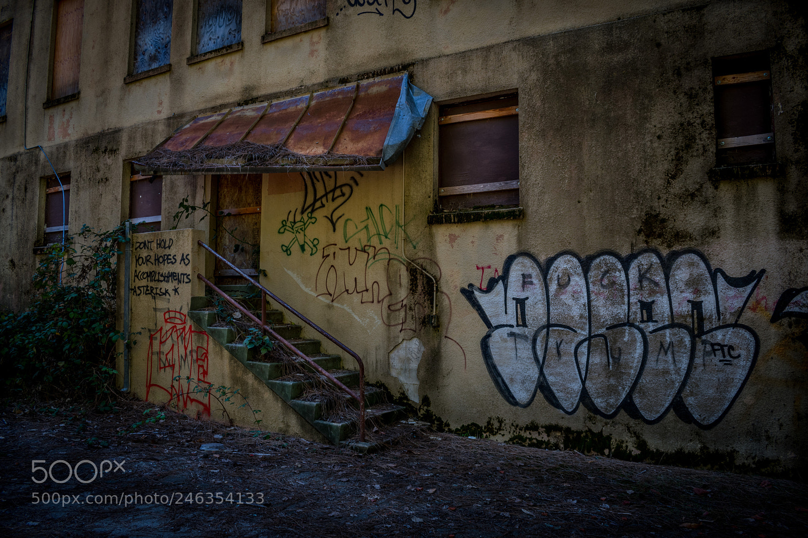 Nikon D7500 sample photo. The insane asylum photography