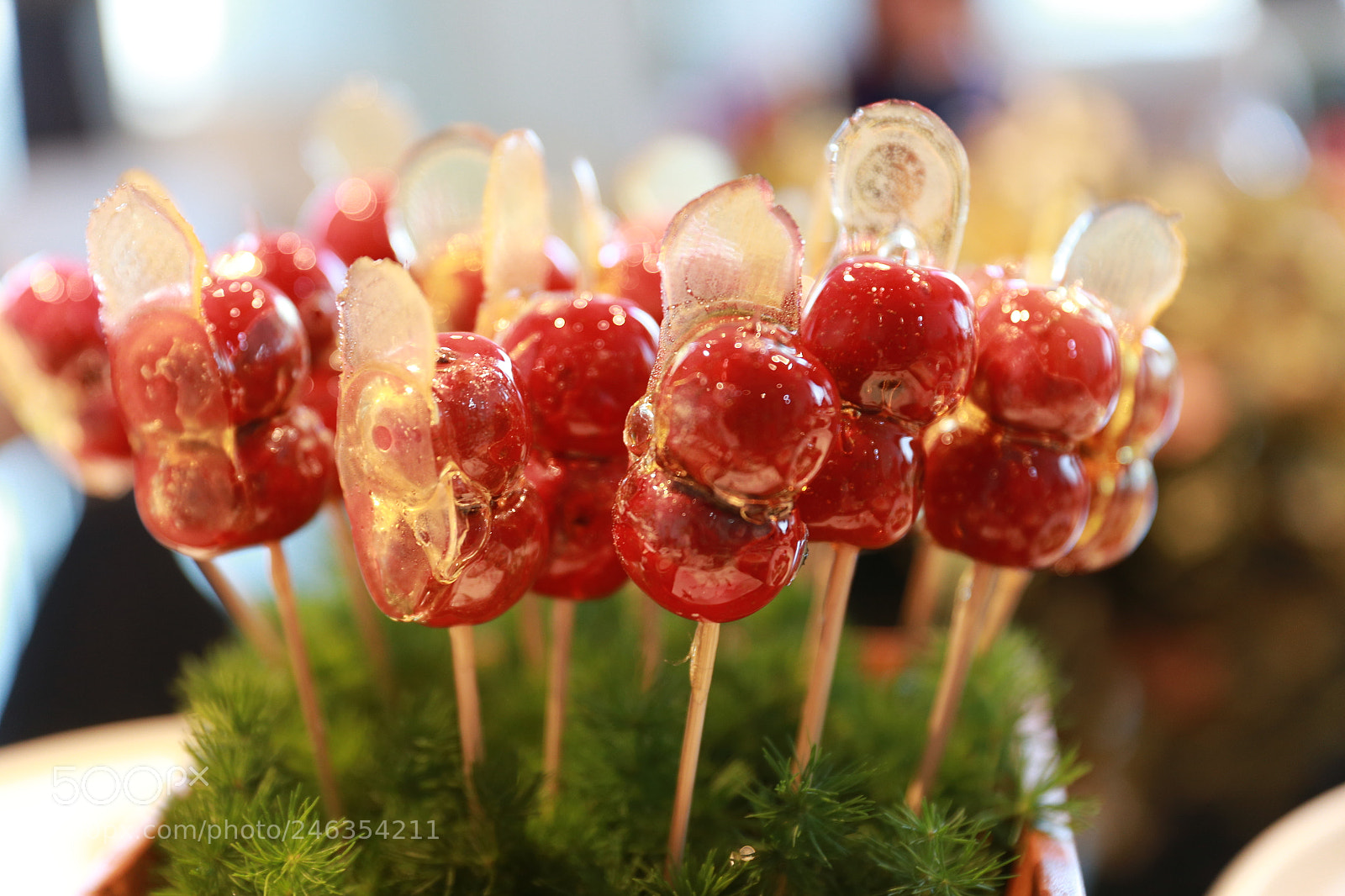 Canon EF 24-70mm F2.8L II USM sample photo. 中国年 photography