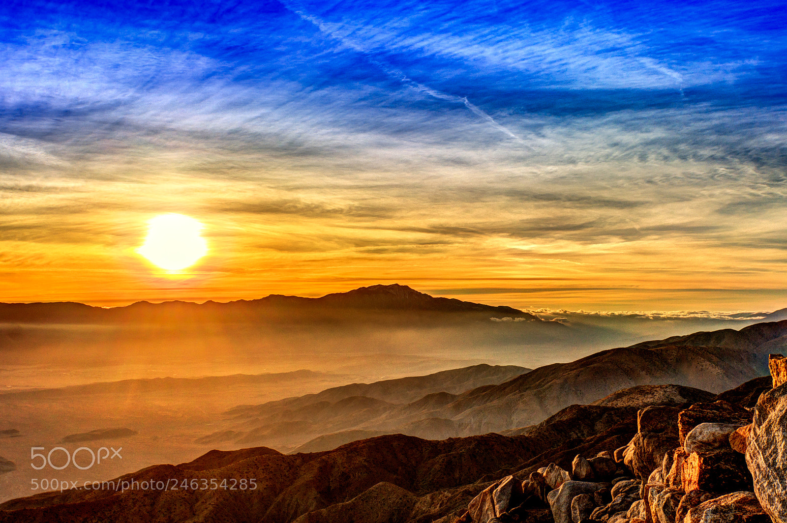 Canon EOS 40D sample photo. Joshua tree photography