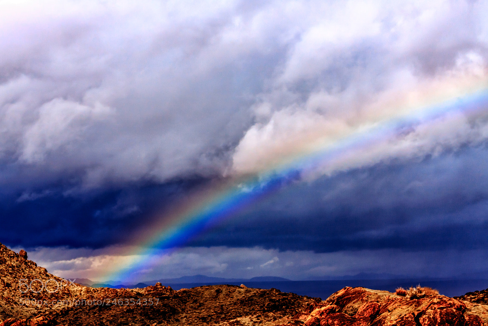 Canon EOS 40D sample photo. Joshua tree photography