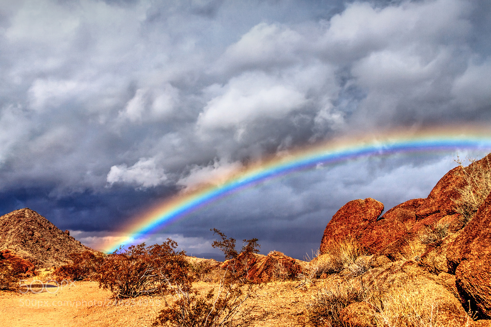 Canon EOS 40D sample photo. Joshua tree photography