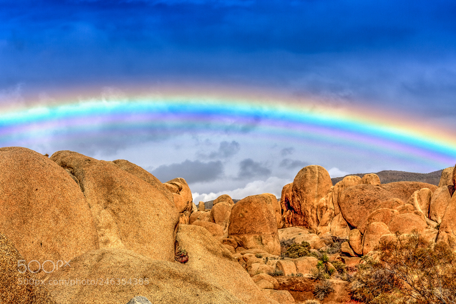 Canon EOS 40D sample photo. Joshua tree photography