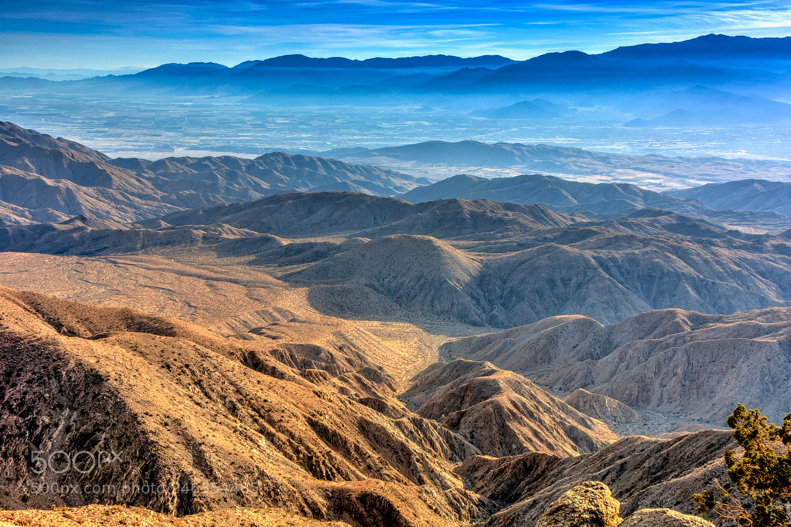 Canon EOS 40D sample photo. Joshua tree photography