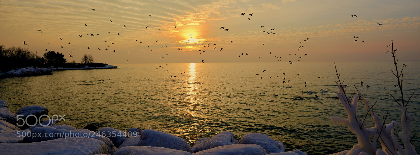 Fujifilm GFX 50S sample photo. Sunrise of lake ontario photography