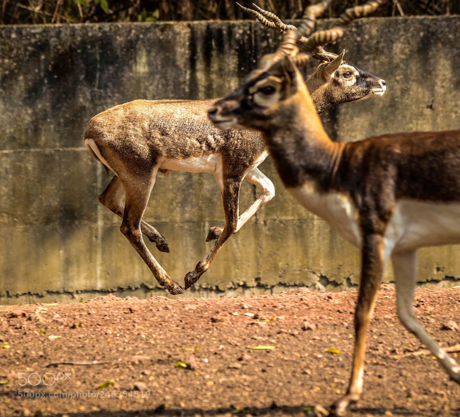 Nikon D5100 sample photo. Layers that makes image photography