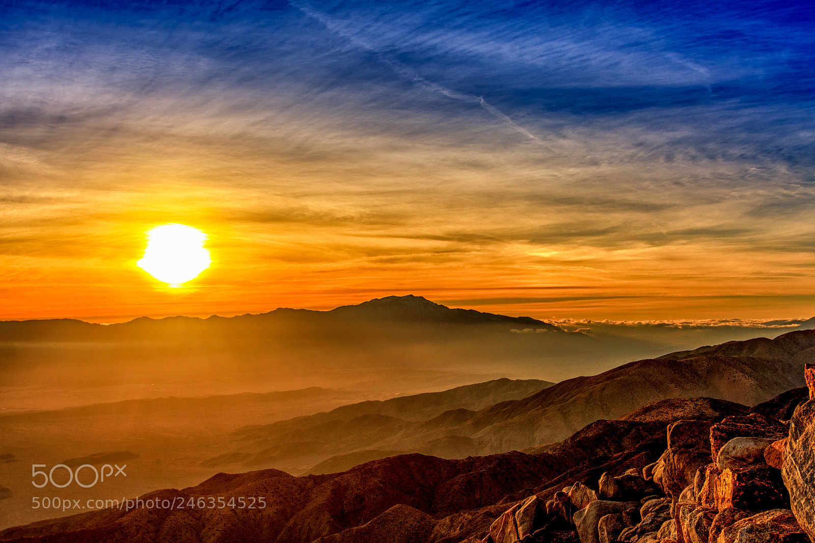 Canon EOS 40D sample photo. Joshua tree photography