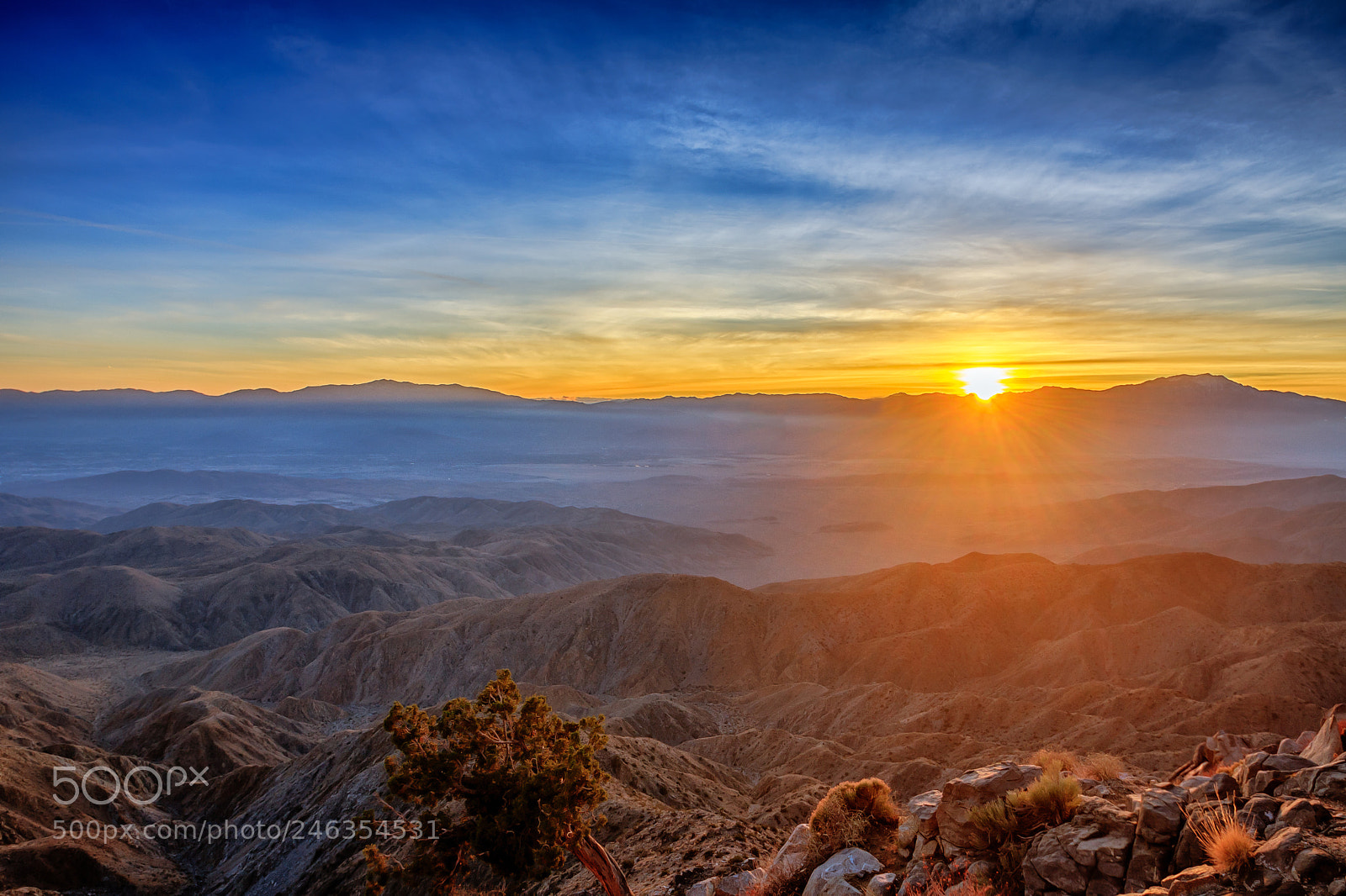 Canon EOS 40D sample photo. Joshua tree photography