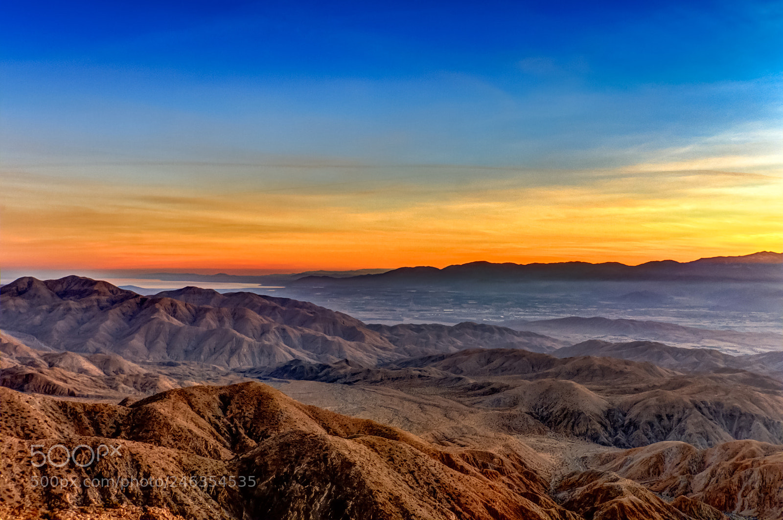 Canon EOS 40D sample photo. Joshua tree photography
