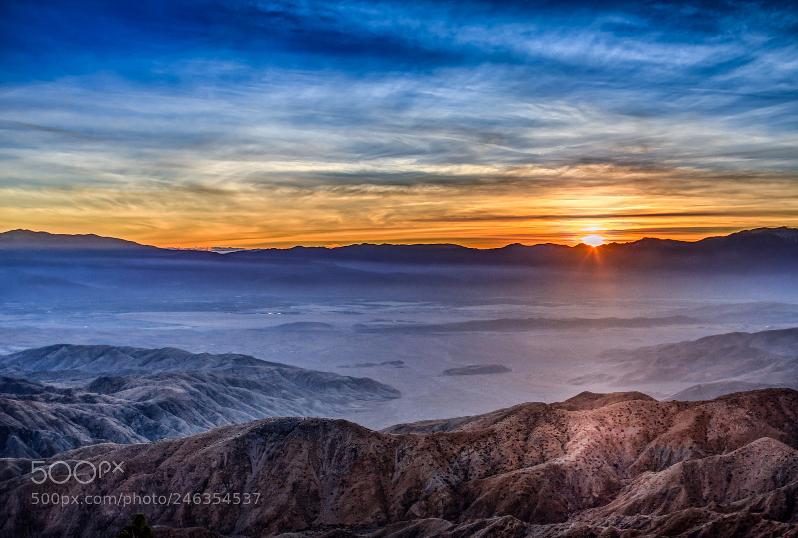 Canon EOS 40D sample photo. Joshua tree photography