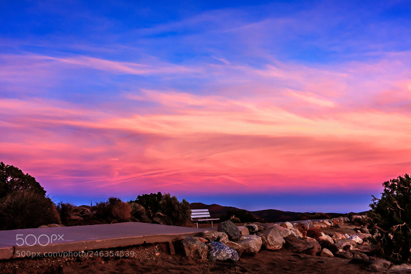 Canon EOS 40D sample photo. Joshua tree photography