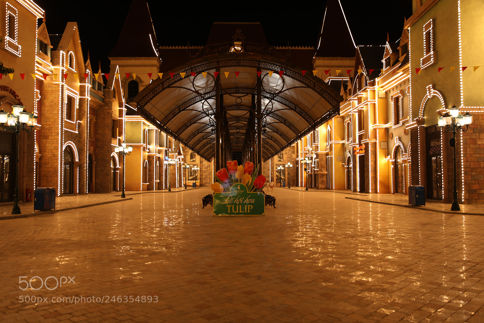 Canon EF 24-70mm F2.8L II USM sample photo. Untitled photography