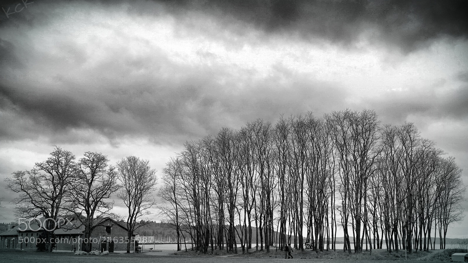 Olympus OM-D E-M10 II sample photo. Winter's day-2. photography