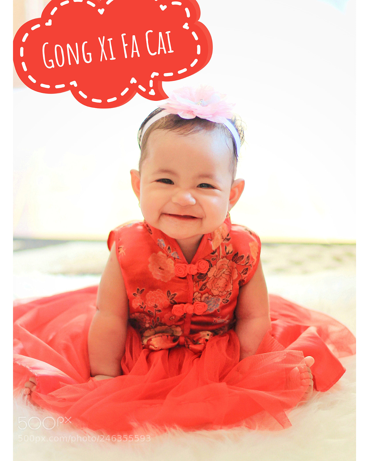 Canon EOS 60D sample photo. Gong xi fa cai photography