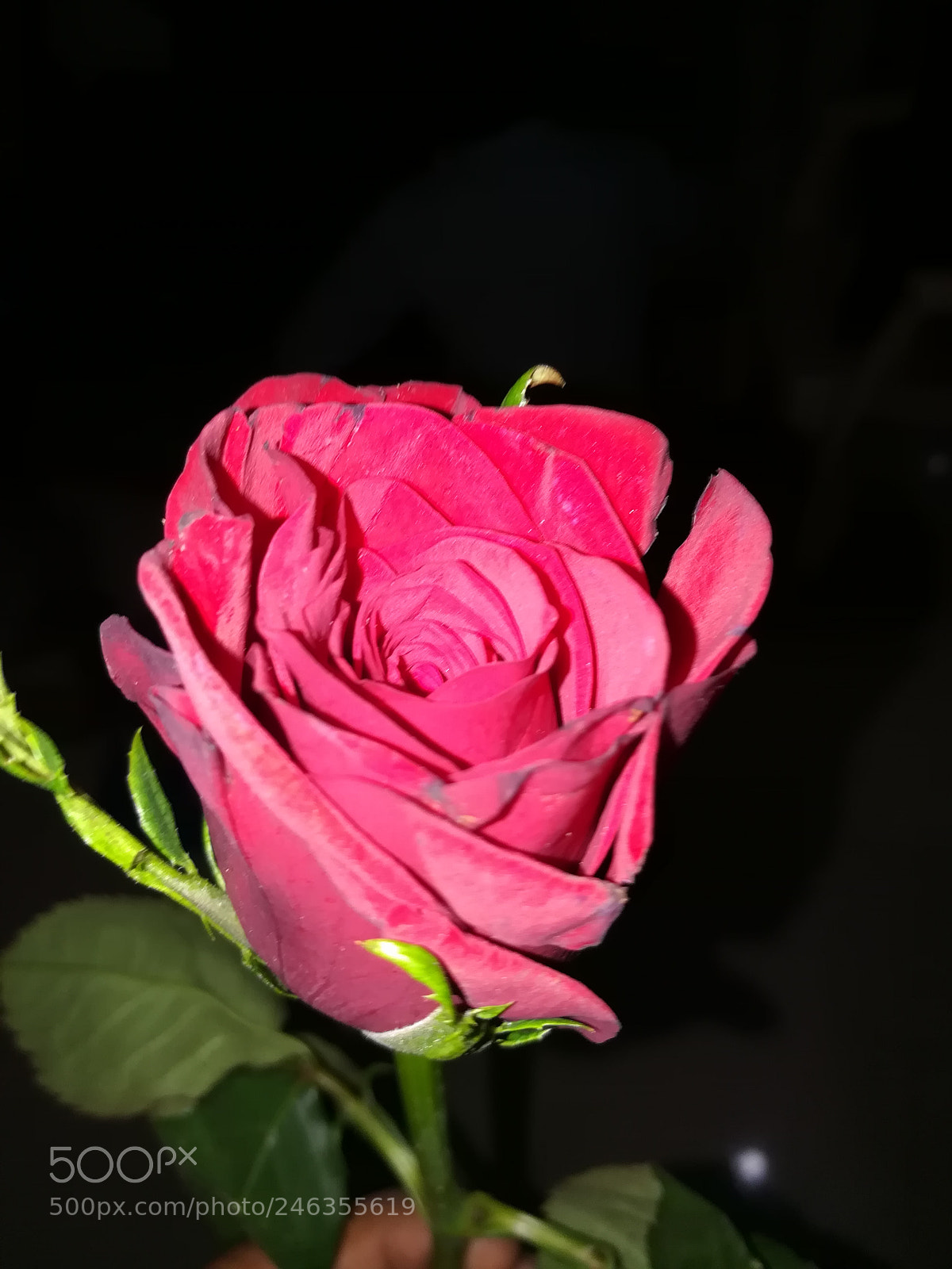 HUAWEI honor 6x sample photo. Untitled photography