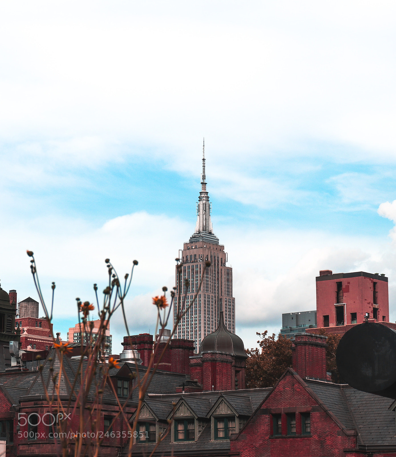 Canon EOS 800D (EOS Rebel T7i / EOS Kiss X9i) sample photo. Empire state photography