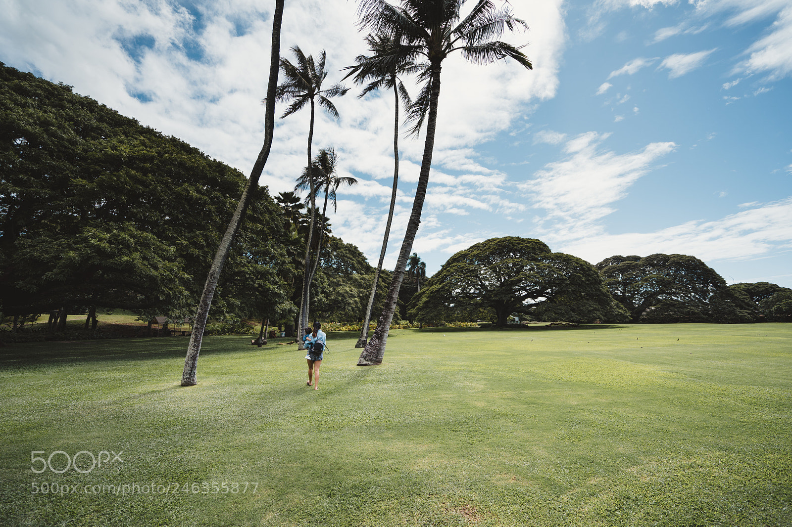 Sony a7 II sample photo. Tropical stroll photography