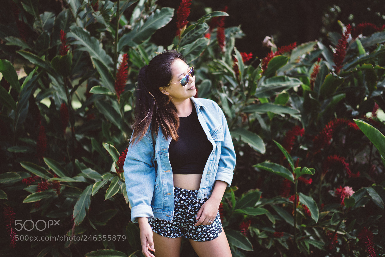 Sony a7 II sample photo. Nature feels photography