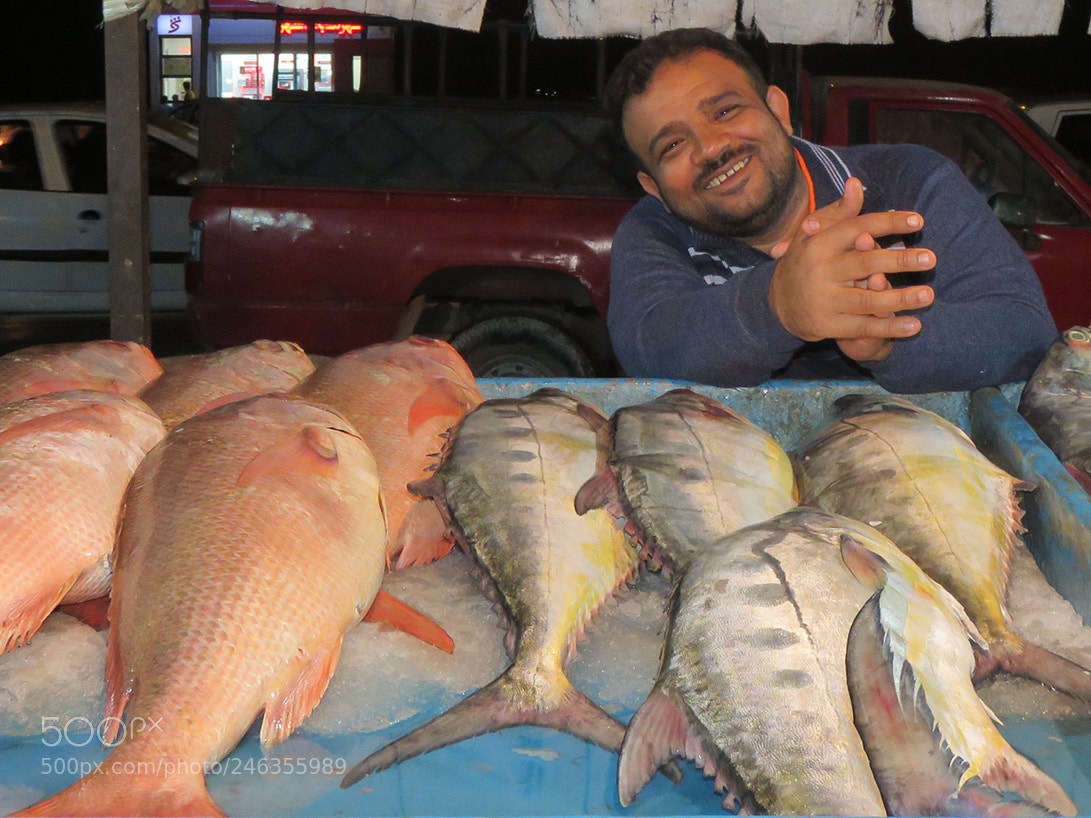 Canon PowerShot SX60 HS sample photo. Fishmonger photography